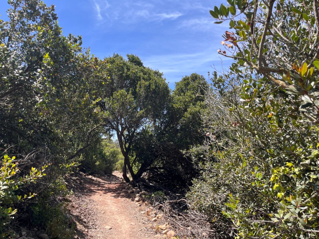 Travel between Serra Mesa and Mission Valley along the Ruffin Canyon Trail – San Diego Union-Tribune