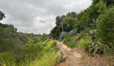 Sandrock Canyon Trail mixes terrain and scenery for a funky little hike – San Diego Union-Tribune