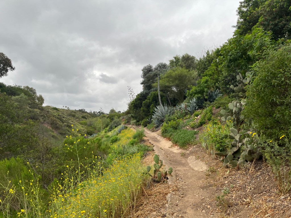 Sandrock Canyon Trail mixes terrain and scenery for a funky little hike – San Diego Union-Tribune
