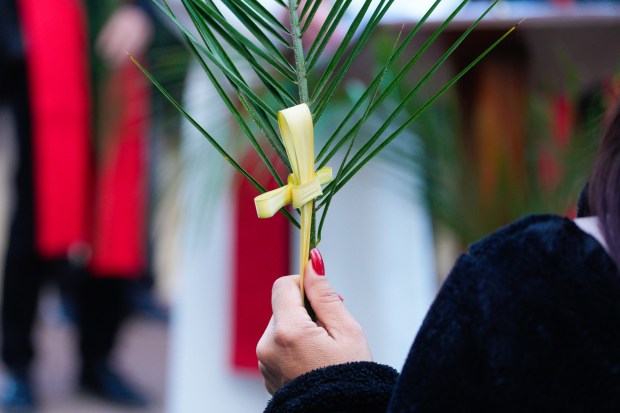 Demonstrators carried palm branches just outside the Federal Courthouse building in downtown San Diego on Wednesday, April 1, 2026. The daily demonstration was to show support for migrants arriving for immigration court. (Nelvin C. Cepeda / The San Diego Union-Tribune)