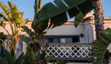 Man sentenced to 17 years in prison for woman’s Rancho Peñasquitos murder – San Diego Union-Tribune