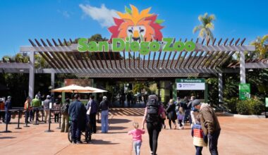 San Diego Zoo, Safari Park secure AZA accreditation