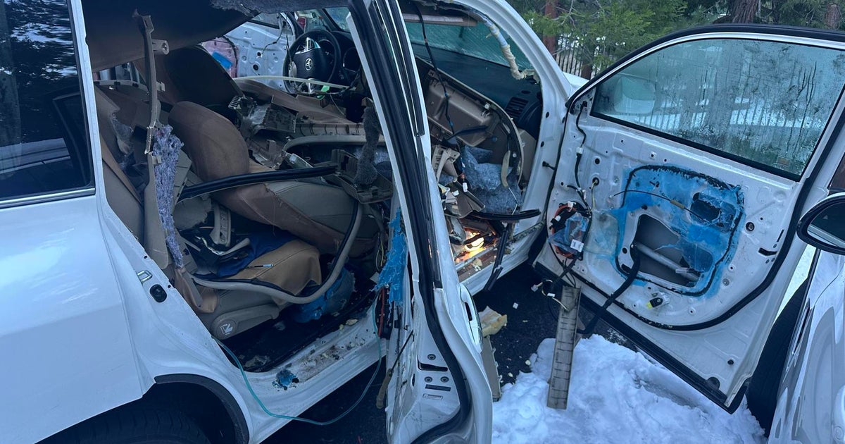 Lake Tahoe bear damages vehicle after becoming trapped inside