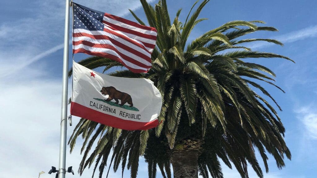 The California flag waving in the wind beside a palm tree under blue skies