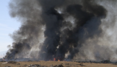 Vegetation fire breaks out off Hale Street in southeast Bakersfield