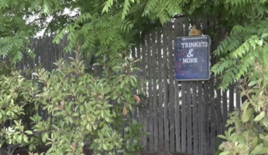 Trinket boxes bring joy to Bakersfield neighborhoods