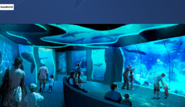 SeaWorld San Diego to open new Shark Encounter exhibit in May