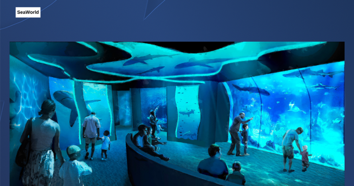 SeaWorld San Diego to open new Shark Encounter exhibit in May