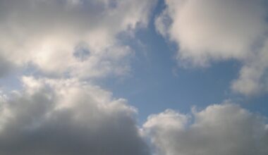 Cooler, breezy with a few showers this weekend