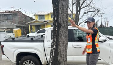 As California debates Zone Zero, researchers want to know: Can trees protect homes from fire?