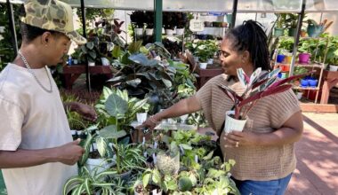 2,000 free plants will be given away Saturday in Leimert Park