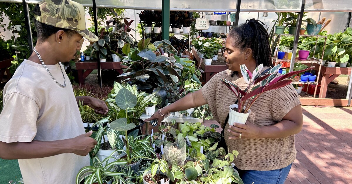 2,000 free plants will be given away Saturday in Leimert Park