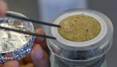 Microplastics have been found everywhere. That's a problem for research