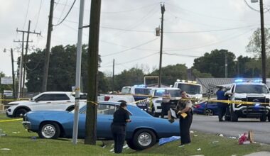 Vehicle hits revelers at Lao New Year event in Louisiana