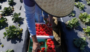 Contributor: ICE raids and migrant pay cuts are devastating California economies