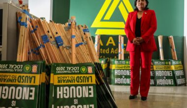 The 'new kid on the block' in LAUSD's union coalition