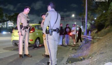 Riderless scooter in roadway causes multicar wreck on 110 Freeway