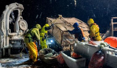 'Deadliest Catch' star Todd Meadows' cause of death revealed