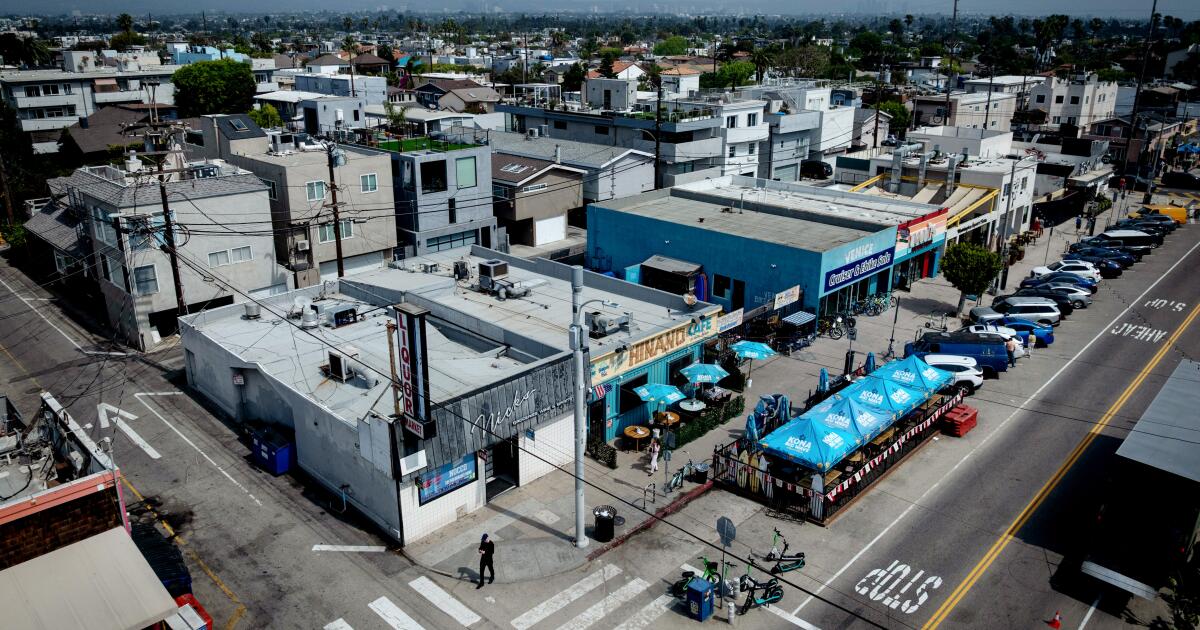 Is he 'The Venice Karen' or the victim of an unruly bar scene? L.A. may soon decide