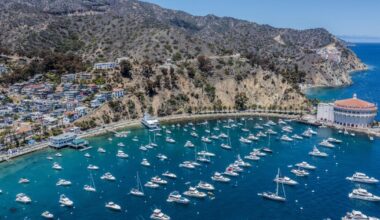 Small plane crashes on Catalina Island, both aboard are killed, officials say