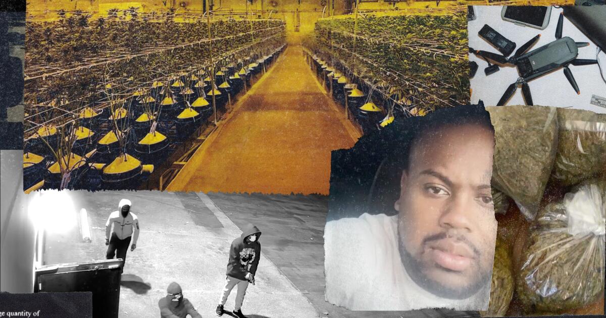 An L.A. man recruited thieves and used drones to steal marijuana, luxury goods