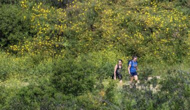 L.A. City Council panel seeks to ban e-bikes from city hiking and equestrian trails