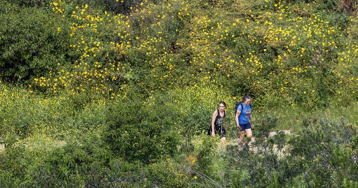 L.A. City Council panel seeks to ban e-bikes from city hiking and equestrian trails