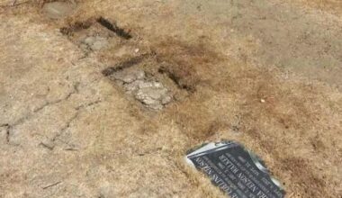 Two dogs stabbed, one killed while defending historic L.A.-area cemetery, heartbroken owner says