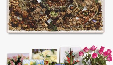 Sophie Calle, Frank Gehry and the artist's California story