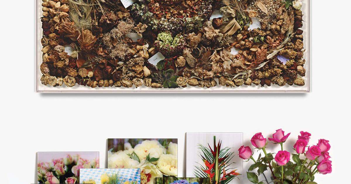 Sophie Calle, Frank Gehry and the artist's California story