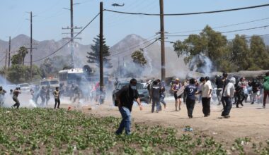 CSU professor acquitted of assaulting U.S. agents with their own tear gas