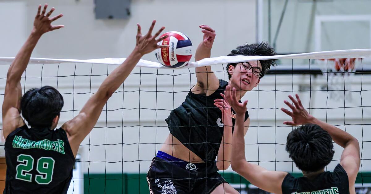 Chatsworth High's Grant Wang hits the MIT jackpot