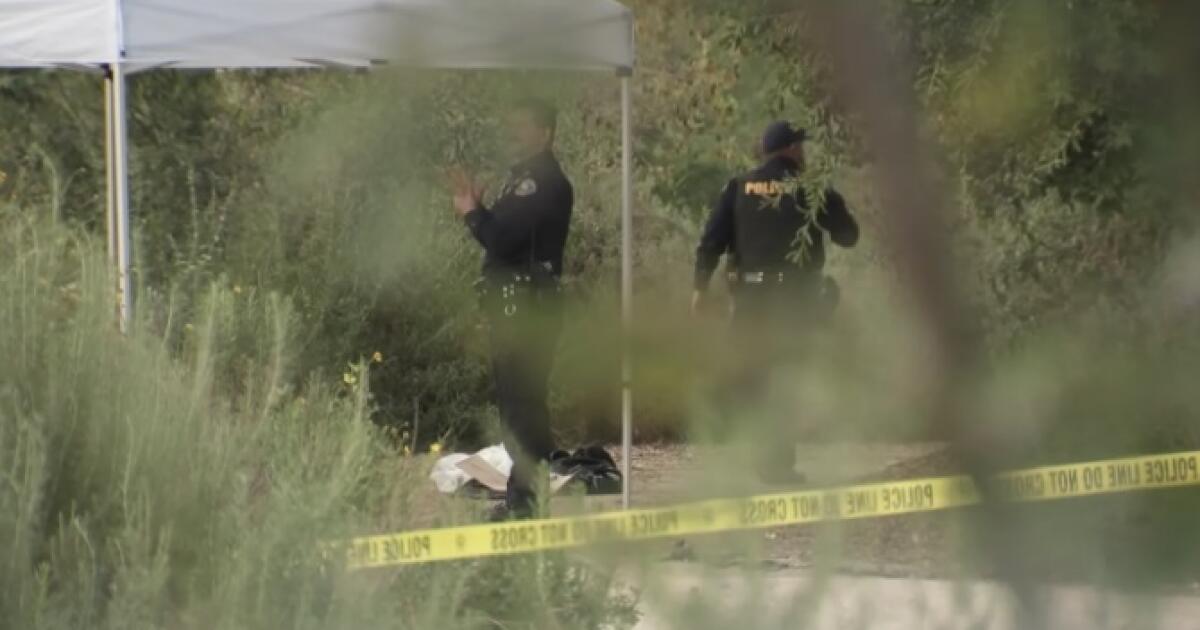 Possible human skull found during Easter egg hunt, police say