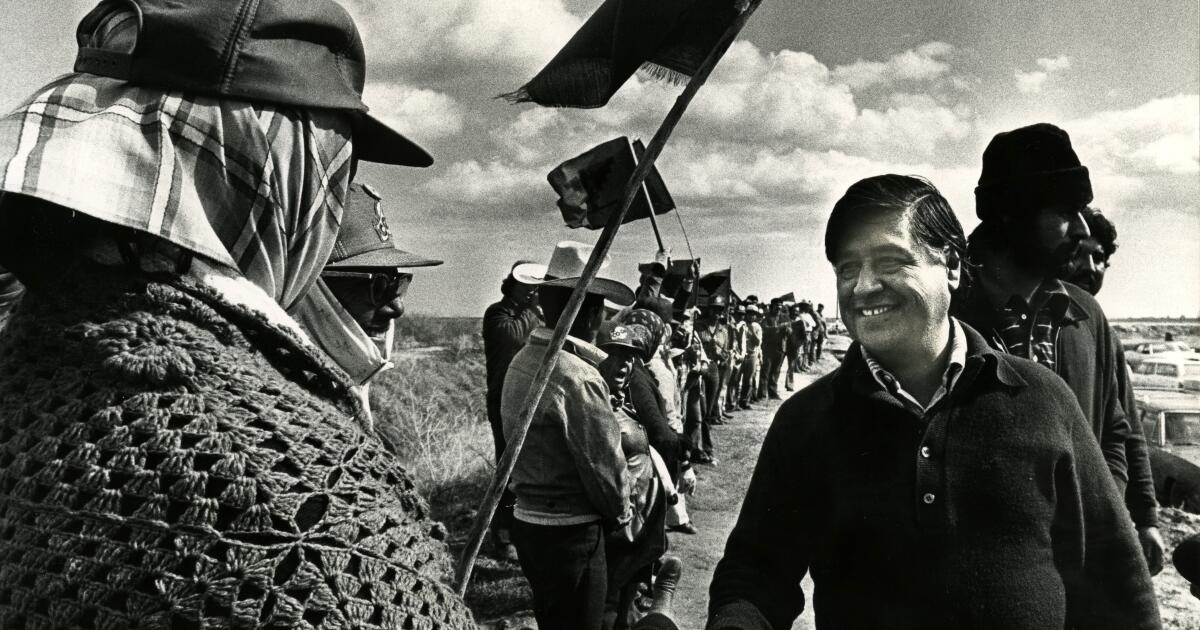 The books that created the César Chávez myth — and those that brought him down