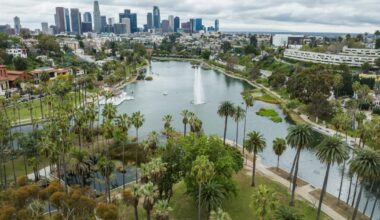 Contributor: My frustrations were global, but the solutions were local