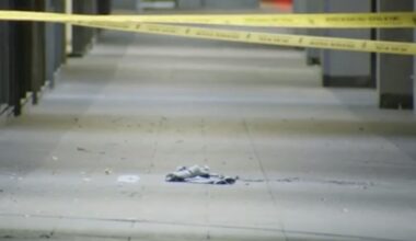 Dementia patient beaten, set on fire and killed in downtown L.A., prosecutors say