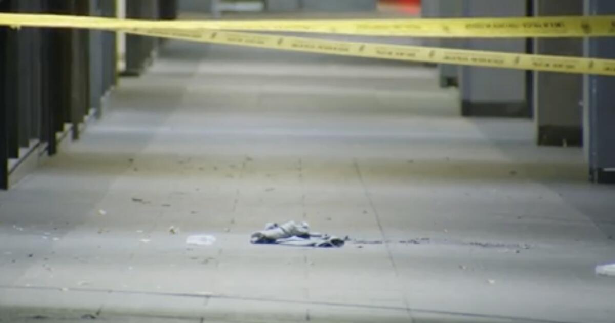 Dementia patient beaten, set on fire and killed in downtown L.A., prosecutors say