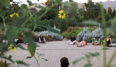 Letters to the Editor: You don’t have to trek out to the forest to enjoy nature’s beauty