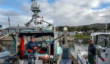 Salmon fishing set to resume along California coast