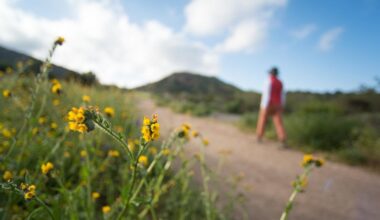 Eco-friendly activities in Orange County to celebrate Earth Day