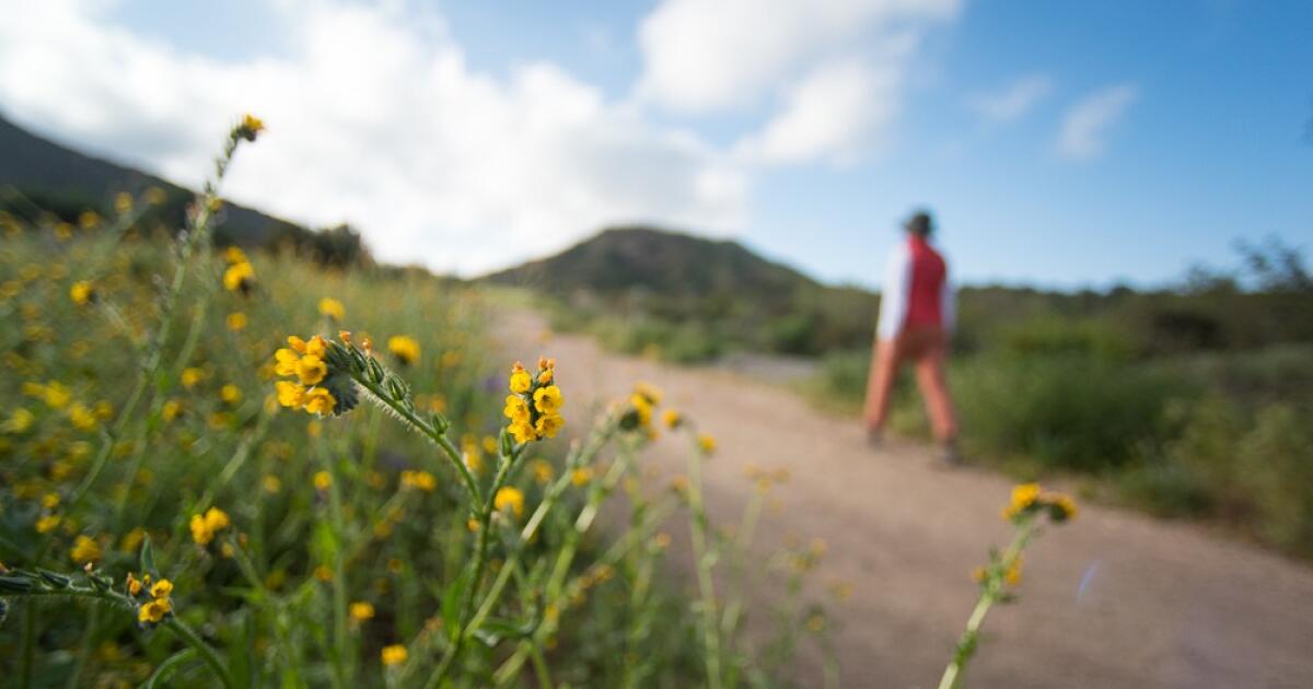 Eco-friendly activities in Orange County to celebrate Earth Day