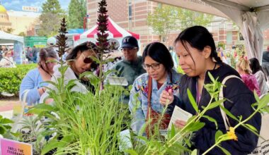 Learn about California native plants at the Festival of Books at USC