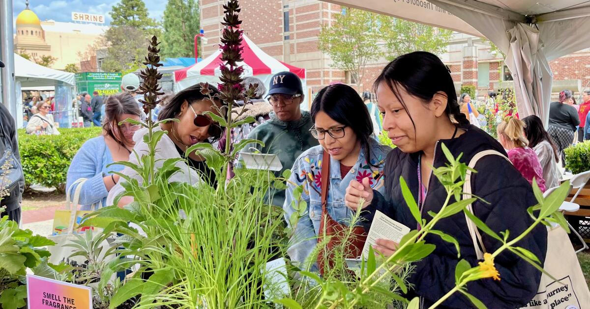 Learn about California native plants at the Festival of Books at USC