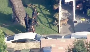 Woman stabbed to death in Sylmar, killer remains at large