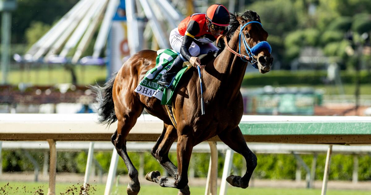 So Happy shows potential with Santa Anita Derby win