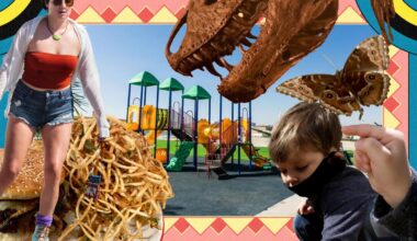 Fun things to do with your toddler in L.A.