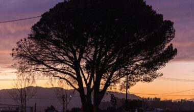 Angry Altadena residents ask officials to halt Edison’s undergrounding work