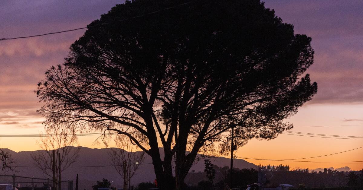 Angry Altadena residents ask officials to halt Edison’s undergrounding work