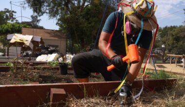 Lead still haunts yards in Exide battery recycler cleanup zone