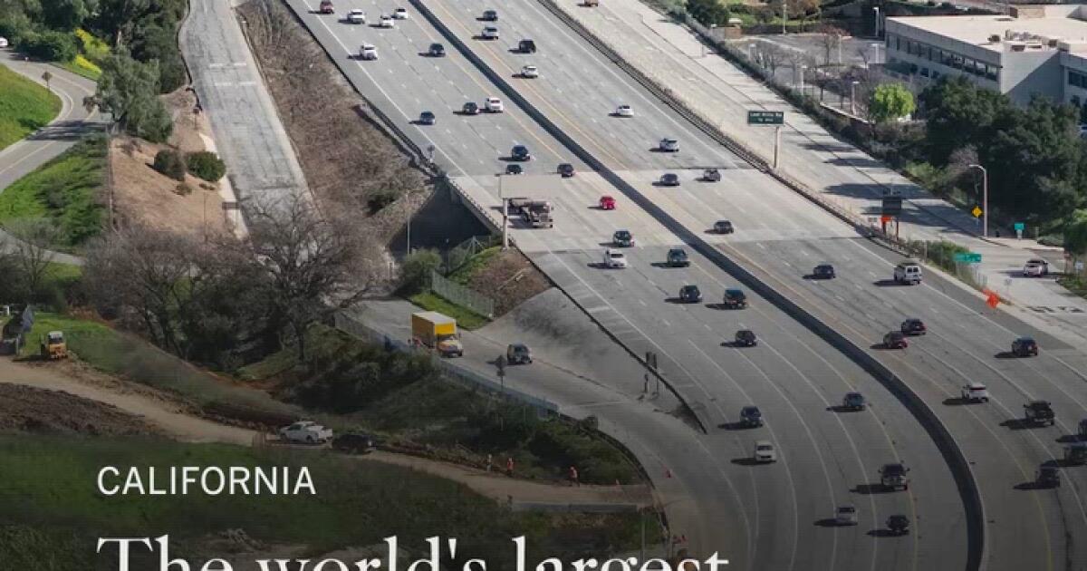 The world's largest wildlife crossing finally has an opening date